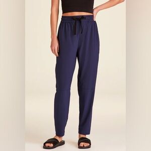 Alala Commuter Navy Blue Jogger Pants